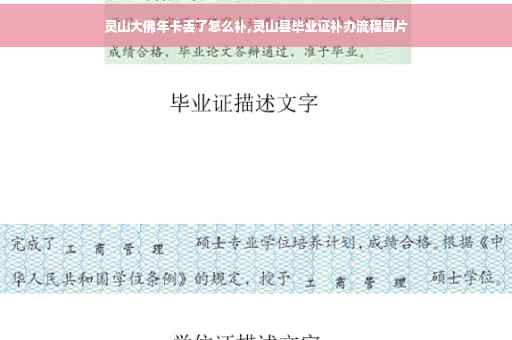 灵山大佛年卡丢了怎么补,灵山县毕业证补办流程图片