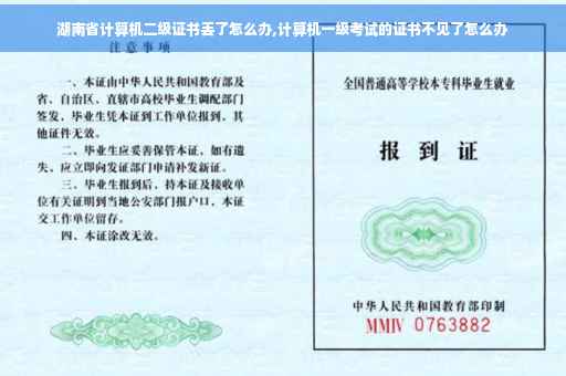 湖南省计算机二级证书丢了怎么办,计算机一级考试的证书不见了怎么办
