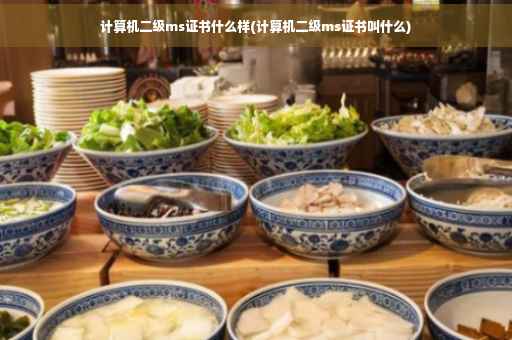 计算机二级ms证书什么样(计算机二级ms证书叫什么)