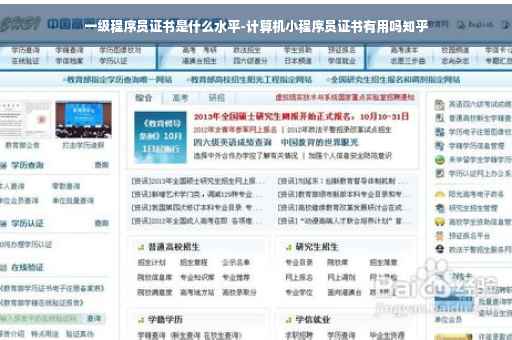 一级程序员证书是什么水平-计算机小程序员证书有用吗知乎