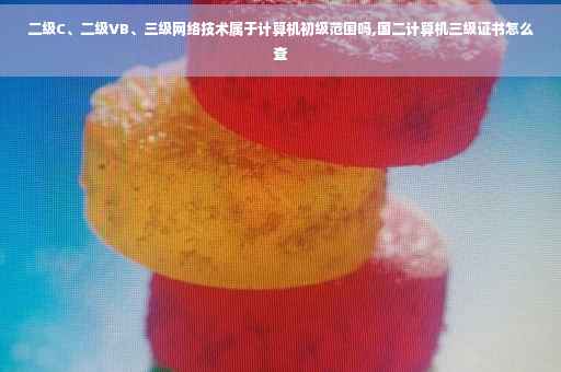 二级C、二级VB、三级网络技术属于计算机初级范围吗,国二计算机三级证书怎么查