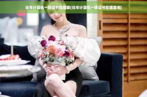 往年计算机一级证书在哪查(往年计算机一级证书在哪查询)