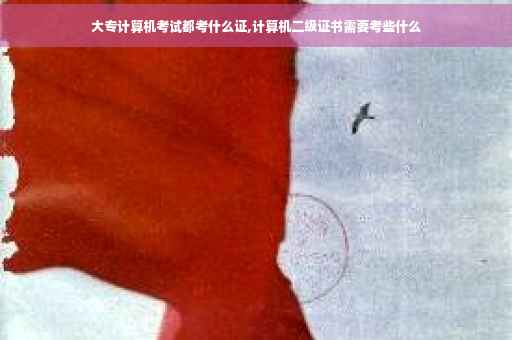 大专计算机考试都考什么证,计算机二级证书需要考些什么