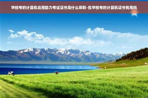 学校考的计算机应用能力考试证书是什么级别-在学校考的计算机证书有用吗