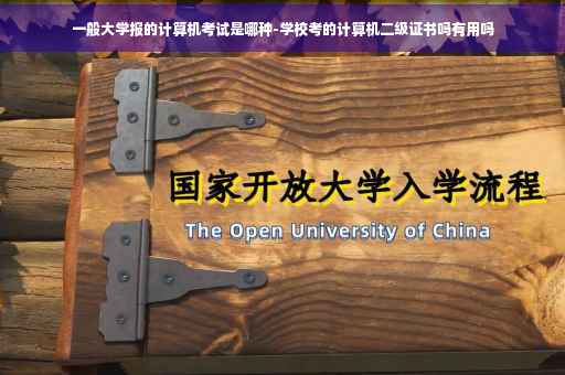 一般大学报的计算机考试是哪种-学校考的计算机二级证书吗有用吗