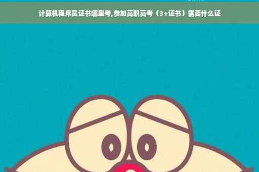 计算机程序员证书哪里考,参加高职高考（3+证书）需要什么证