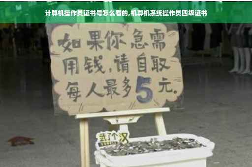 计算机操作员证书号怎么看的,机算机系统操作员四级证书