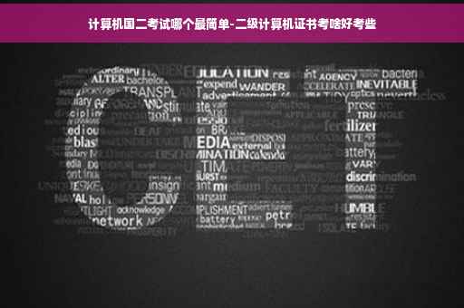计算机国二考试哪个最简单-二级计算机证书考啥好考些