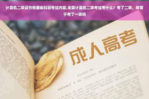 计算机二级证书有哪些科目考试内容,全国计算机二级考试考什么？考了二级，就等于考了一级吗