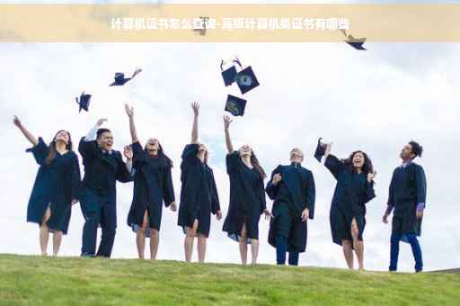 计算机证书怎么查询-高级计算机类证书有哪些