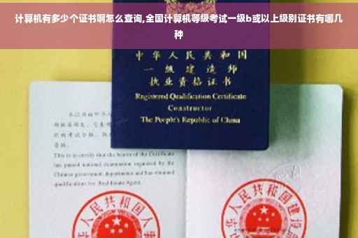 计算机有多少个证书啊怎么查询,全国计算机等级考试一级b或以上级别证书有哪几种