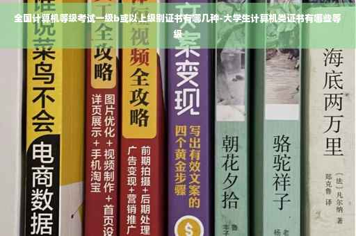 全国计算机等级考试一级b或以上级别证书有哪几种-大学生计算机类证书有哪些等级