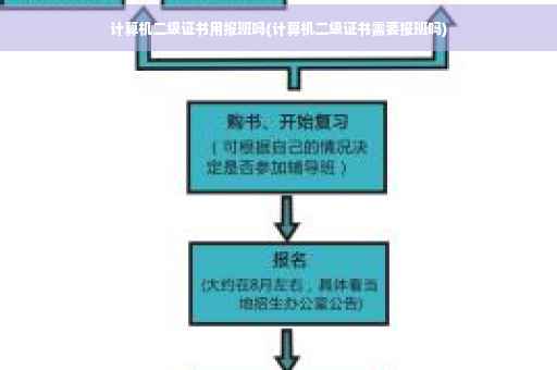 计算机二级证书用报班吗(计算机二级证书需要报班吗)