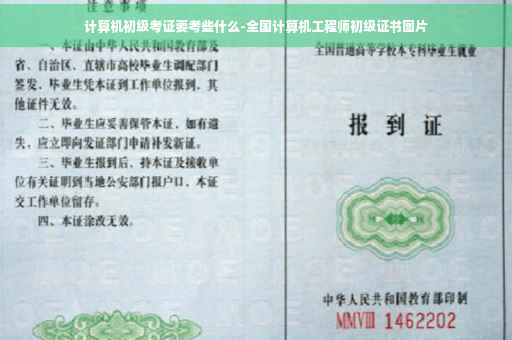 计算机初级考证要考些什么-全国计算机工程师初级证书图片