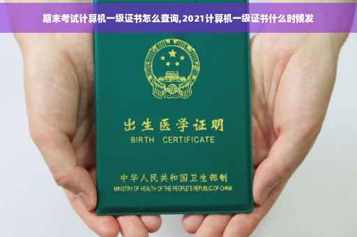 期末考试计算机一级证书怎么查询,2021计算机一级证书什么时候发