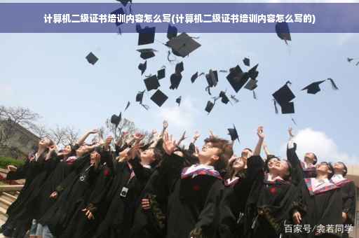 计算机二级证书培训内容怎么写(计算机二级证书培训内容怎么写的)