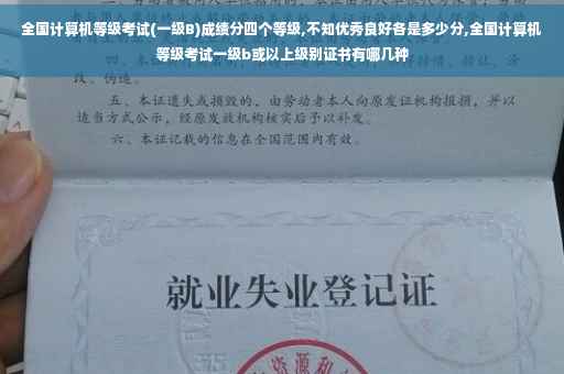 全国计算机等级考试(一级B)成绩分四个等级,不知优秀良好各是多少分,全国计算机等级考试一级b或以上级别证书有哪几种