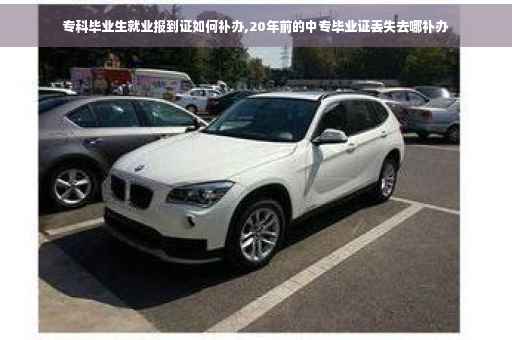 专科毕业生就业报到证如何补办,20年前的中专毕业证丢失去哪补办