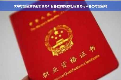 大学毕业证没拿到怎么办？有补救的办法吗,招生办可以补办毕业证吗