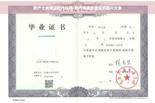 助产士资格证长什么样-助产专业毕业证书图片大全