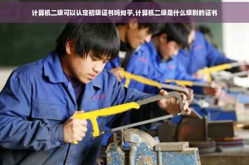 计算机二级可以认定初级证书吗知乎,计算机二级是什么级别的证书