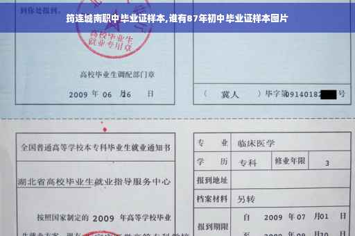 筠连城南职中毕业证样本,谁有87年初中毕业证样本图片
