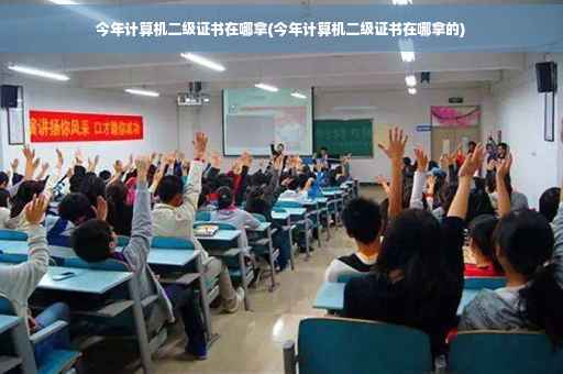 今年计算机二级证书在哪拿(今年计算机二级证书在哪拿的)