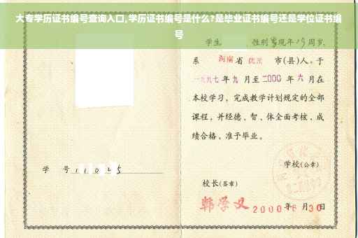大专学历证书编号查询入口,学历证书编号是什么?是毕业证书编号还是学位证书编号