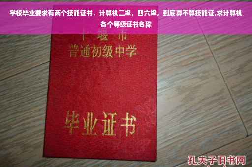 学校毕业要求有两个技能证书，计算机二级，四六级，到底算不算技能证,求计算机各个等级证书名称
