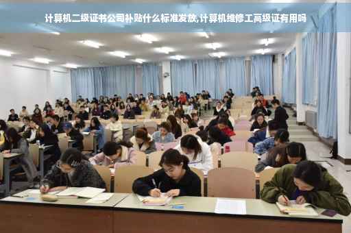 计算机二级证书公司补贴什么标准发放,计算机维修工高级证有用吗