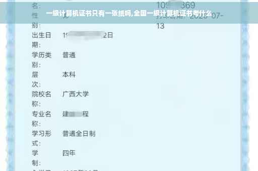 一级计算机证书只有一张纸吗,全国一级计算机证书考什么