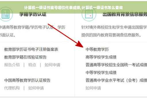 计算机一级证书编号哪位代表成绩,计算机一级证书怎么查询