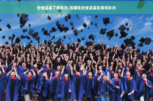 毕业证丢了咋补办,应届生毕业证丢失如何补办