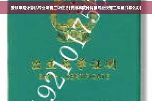 安顺学院计算机专业没有二级证书(安顺学院计算机专业没有二级证书怎么办)