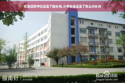 毕业证和学位证丢了能补吗,小学毕业证丢了怎么办补办