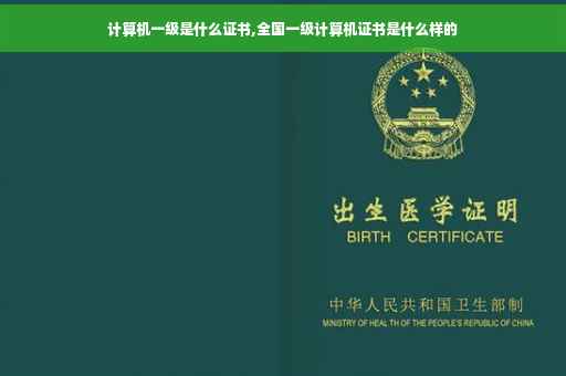计算机一级是什么证书,全国一级计算机证书是什么样的