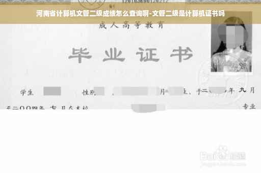 河南省计算机文管二级成绩怎么查询啊-文管二级是计算机证书吗
