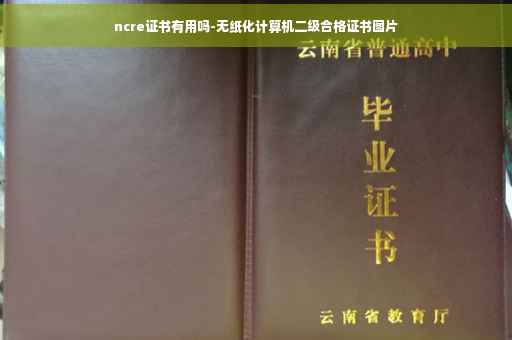 ncre证书有用吗-无纸化计算机二级合格证书图片