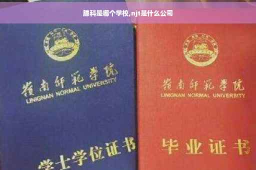 滕科是哪个学校,njt是什么公司