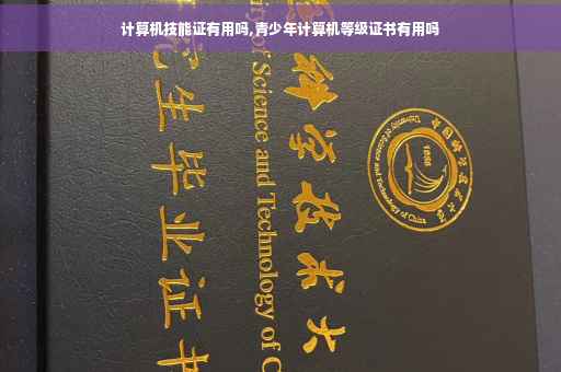 计算机技能证有用吗,青少年计算机等级证书有用吗