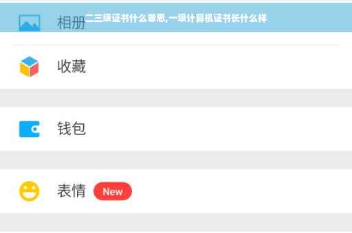 二三级证书什么意思,一级计算机证书长什么样