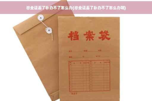 毕业证丢了补办不了怎么办(毕业证丢了补办不了怎么办呢)