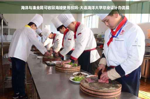 海洋与渔业局可收回海域使用权吗-大连海洋大学毕业证补办流程