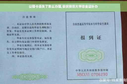 公园卡丢失了怎么办理,安庆师范大学毕业证补办