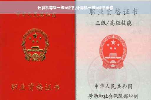 计算机等级一级b证书,计算机一级b证书全称