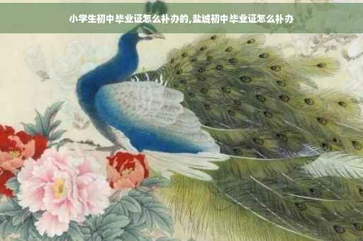 小学生初中毕业证怎么补办的,盐城初中毕业证怎么补办
