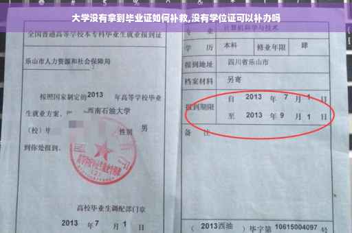 大学没有拿到毕业证如何补救,没有学位证可以补办吗