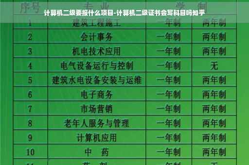 计算机二级要报什么项目-计算机二级证书会写科目吗知乎