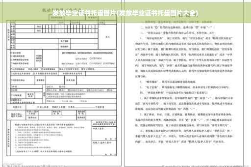 发放毕业证书托盘图片(发放毕业证书托盘图片大全)