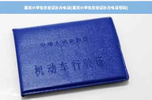 重庆小学生毕业证补办电话(重庆小学生毕业证补办电话号码)